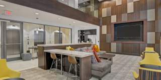 Ellis Bethesda Gallery 45