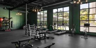 Lilian Frogtown Gallery 3