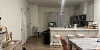 Room in 3 Bedroom Home in Raleigh Gallery 3