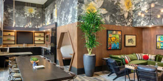 Persea Gallery 11