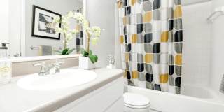 Affordable Housing -  Bridges at Mallard Creek Apartment Homes Gallery 100