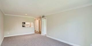 Spectra at Tamarac Gallery 26