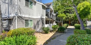 Hidden Oaks Gallery 33