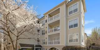 4560 STRUTFIELD Lane unit: 1311 Gallery 1
