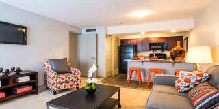 Skyview Apartments Gallery 9