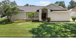 Valrico Pool Home large fence back yard Gallery 1