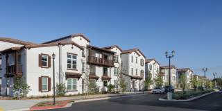 Vida Morgan Hill Gallery 41