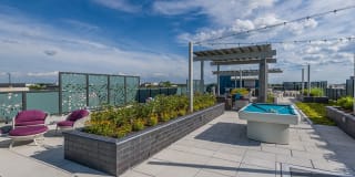 Bell Shady Grove Gallery 42