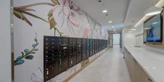 The Eloise - 55+ Senior Housing Gallery 23