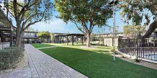 Tierra Palms Gallery 100