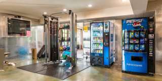 The Falls Gallery 12