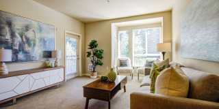 Discovery Heights Discovery Heights Gallery 20