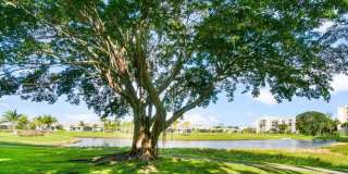 14623 Bonaire Boulevard Gallery 25