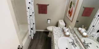 Timberline Gallery 1