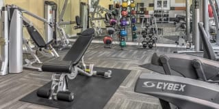 Camden Caley Gallery 23