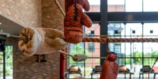 Ashbridge Gallery 18