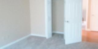 6706 Fox Lake Drive Gallery 5