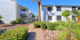 The Coronado (Palms on Monte Vista) Gallery 20