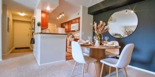 4313 Bayhead Court Gallery 5