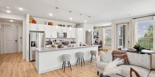 Virtuo Spring Gallery 19