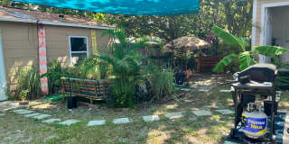 Gulfport charm 3/1 1 car garage Gallery 22