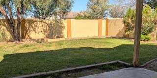 4226 N 92nd Lane Gallery 12