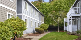 Irwin Park Gallery 6