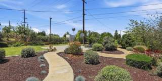 16540 Wagon Wheel Gallery 46