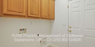 1732 Bamboo Street Gallery 24
