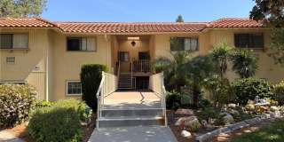 861 Ronda Mendoza Gallery 2