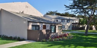 Shoreline Apartments Gallery 8