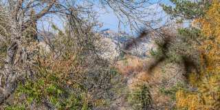 Idyllic West Boulder 2BDR Furnished Home Gallery 28