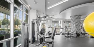 Ashton South End Gallery 9