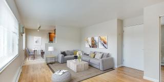 La Roma La Roma Gallery 1