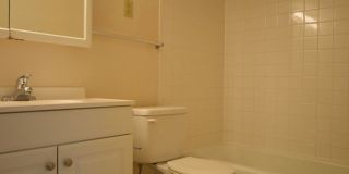 Graduate and Professional Gallery 102