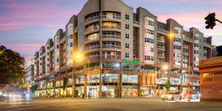 SOMA at 788 Gallery 36