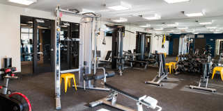 Enclave Village Gallery 15