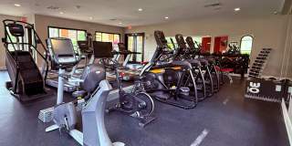 TGM Bermuda Island Gallery 17