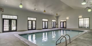 Evergreen Terrace Gallery 20