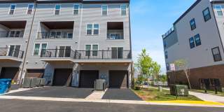 44504 WOLFHOUND Square Gallery 25