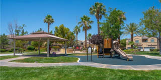 6321 Blowing Sky Street Gallery 35