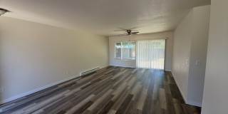 Newly remodeled 3 bedroom 1 bath home!!! Come check it out!! Schedule a tour today. Gallery 3