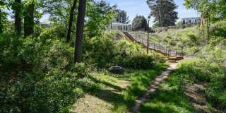 Premier Apartments Gallery 28