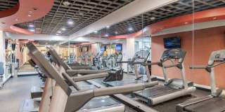 Garfield Park Gallery 11