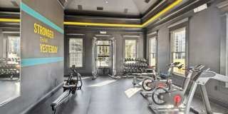 Alvista Bowie Gallery 25