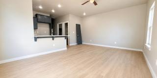 Brand-New 3-Bedroom Duplex with Modern Finishes in Lawton Gallery 7