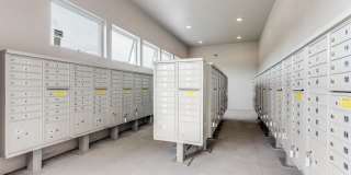 Remi West Dallas Remi West Dallas Gallery 19