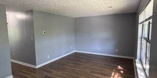 2941 Winter Garden - 4 Gallery 2