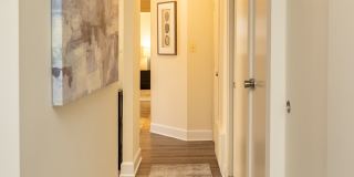Hyde Park Apartments Gallery 4