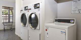 Stoneleigh Apartments Gallery 7